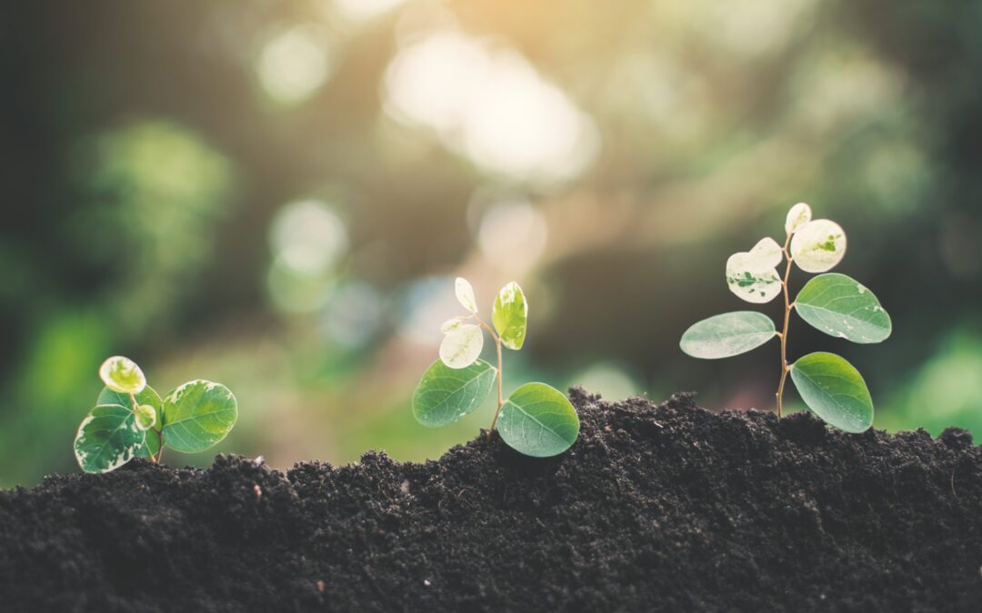 Doing Greater Good for the Greater Good