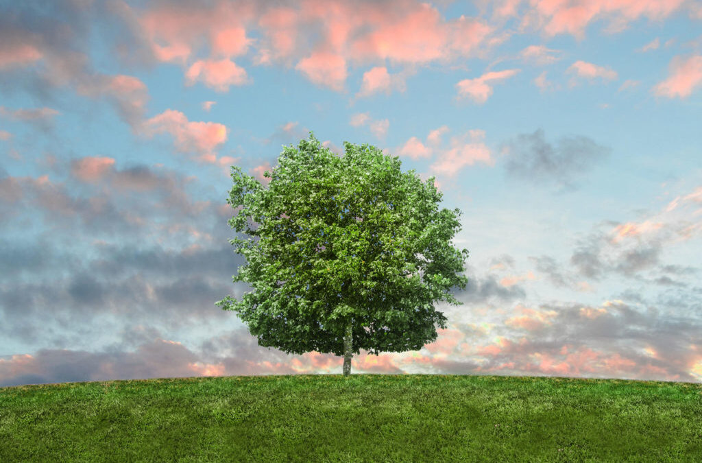 Giving Big: The Impact of Large, Unrestricted Gifts on Nonprofits